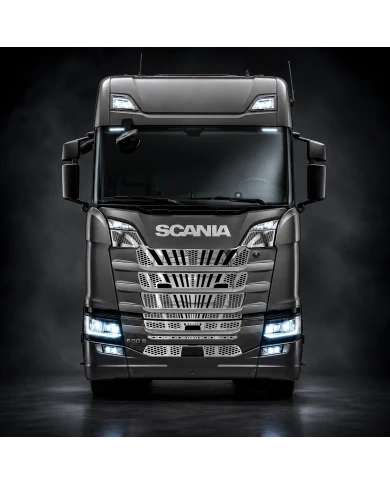 Mascherina inox Scania S Standard montata sul camion
